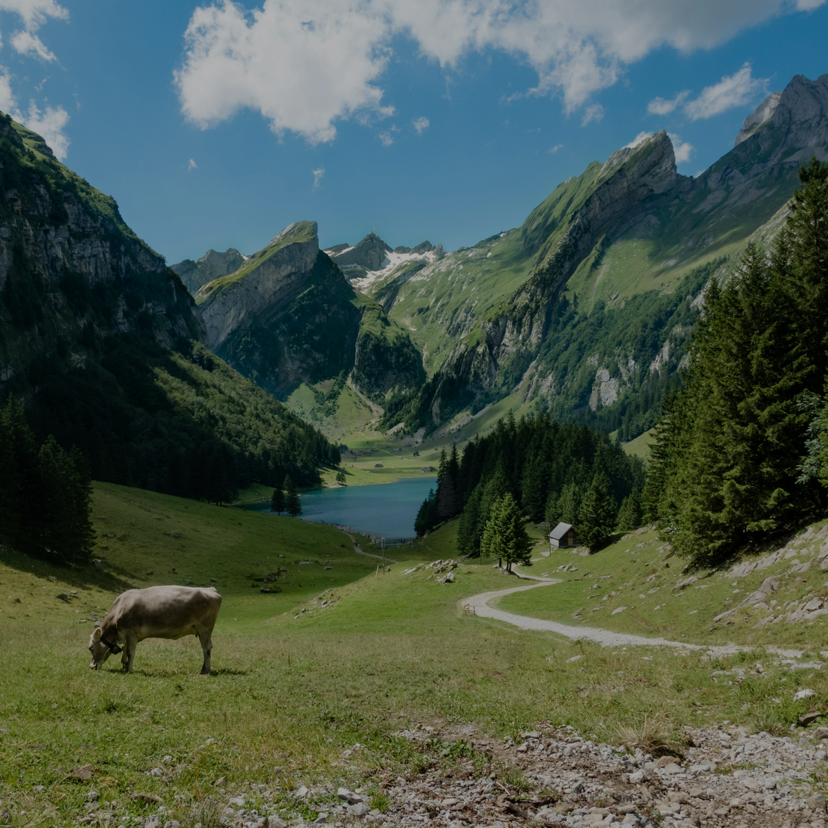 Berglanschaft