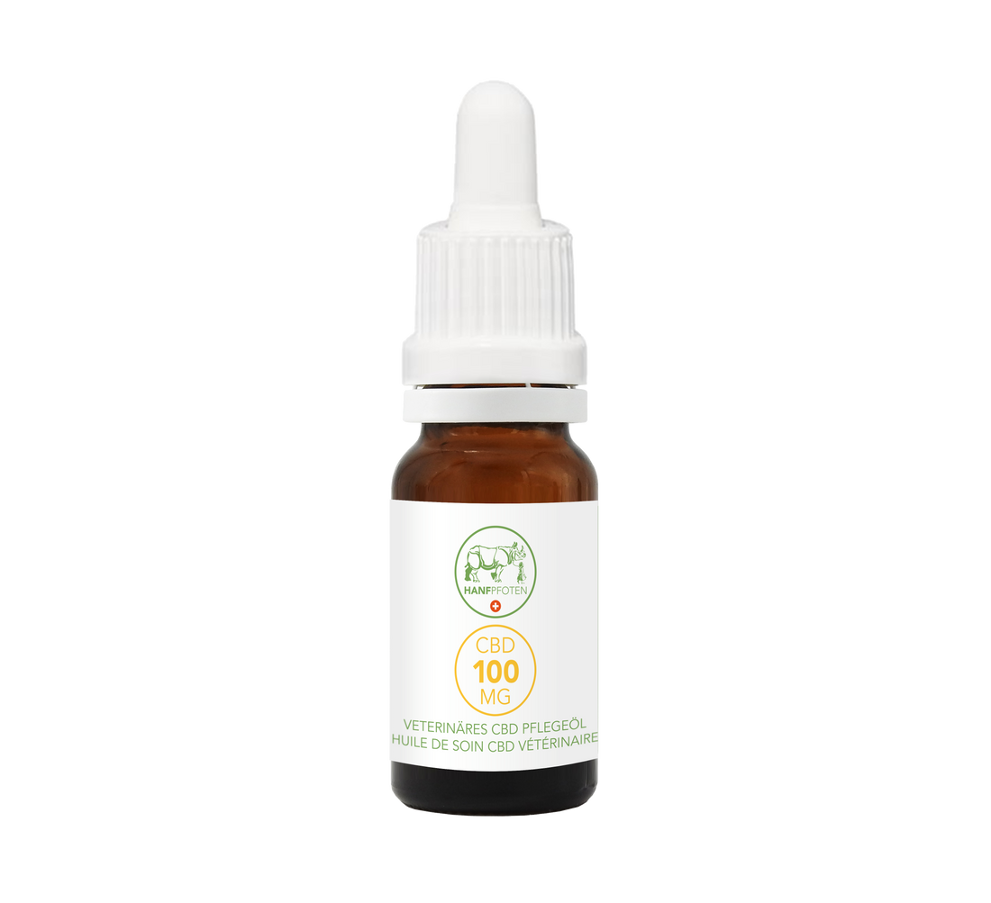 Hanfpfoten 100 CBD Pflegeöl für Tiere 10ml