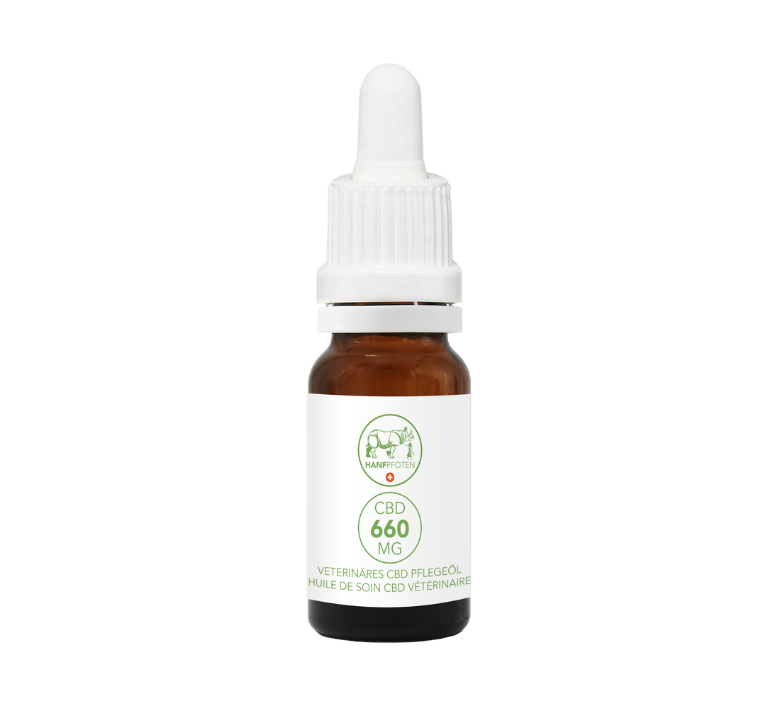 Hanfpfoten 660 CBD Pflegeöl für Tiere 10ml