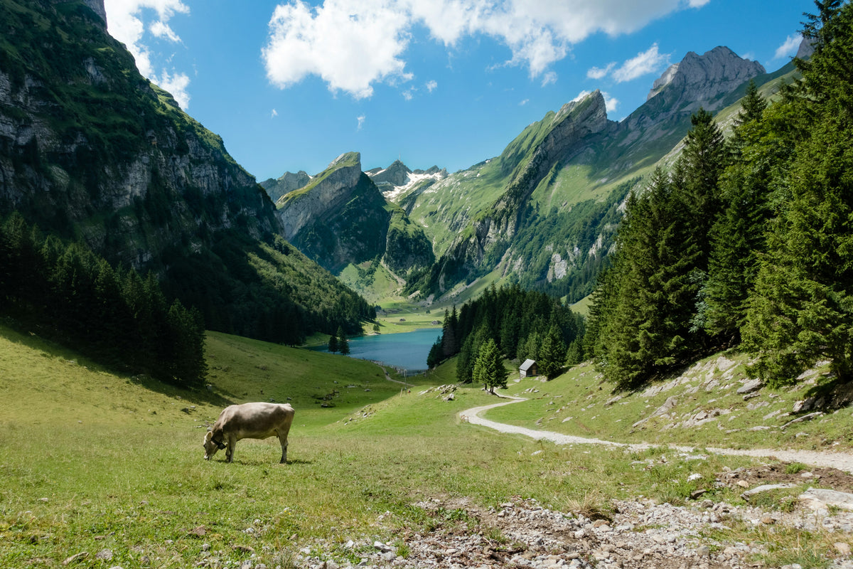Berg-Landschaft