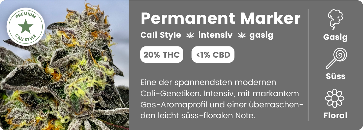 Permanent Marker THC-Cannabisblüte mit Sorteninformationen und Aromaprofil von BergBlüten