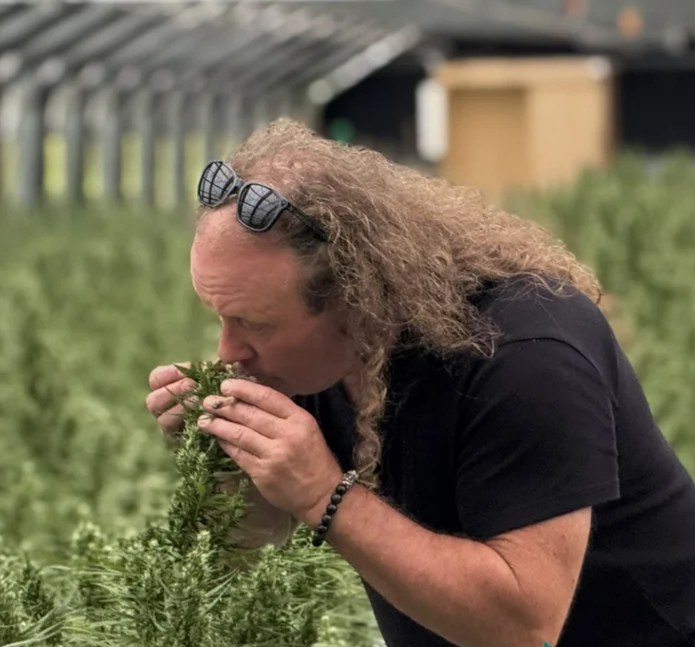 Scott Blakey (Shantibaba) betrachtet eine Cannabis-Pflanze im Gewächshaus von BergBlüten im Tessin.